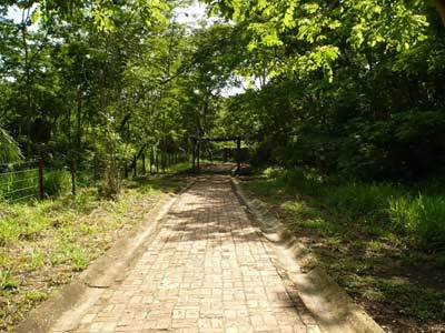 Hotel Fazenda Do Bertione มิรันดา ภายนอก รูปภาพ