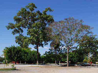 Hotel Fazenda Do Bertione มิรันดา ภายนอก รูปภาพ